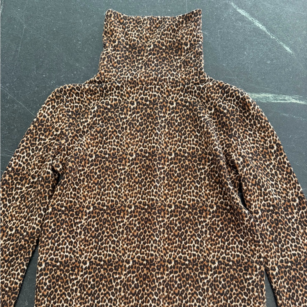 Zara Cheetah Turtleneck